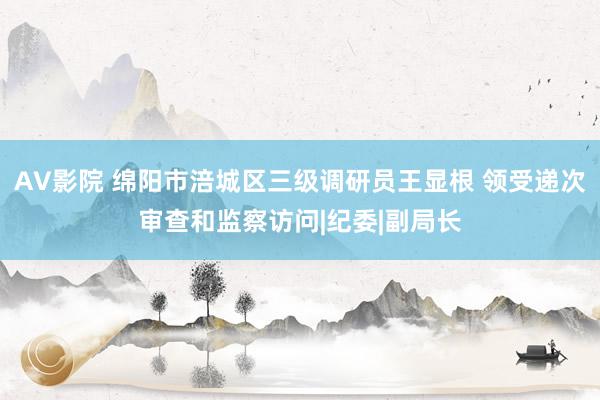 AV影院 绵阳市涪城区三级调研员王显根 领受递次审查和监察访问|纪委|副局长