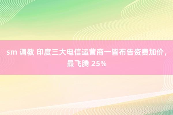 sm 调教 印度三大电信运营商一皆布告资费加价，最飞腾 25%