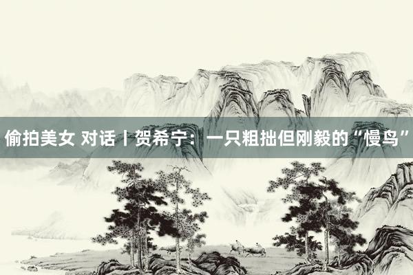 偷拍美女 对话丨贺希宁：一只粗拙但刚毅的“慢鸟”