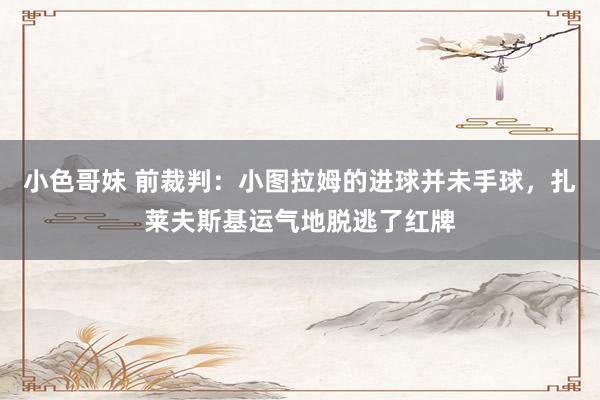 小色哥妹 前裁判：小图拉姆的进球并未手球，扎莱夫斯基运气地脱逃了红牌